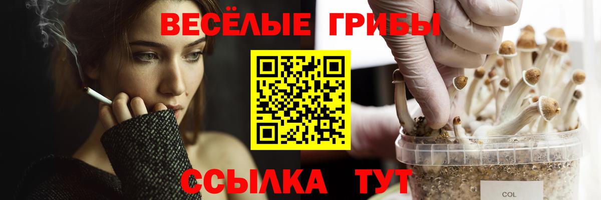 Галлюциногенные грибы прущие грибы  Галлюциногенные грибы MAGIC MUSHROOMS  Вход с VPN  Клинцы 